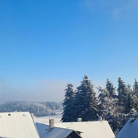 Pension Thueringer Wald Reichmannsdorf Bagian luar foto