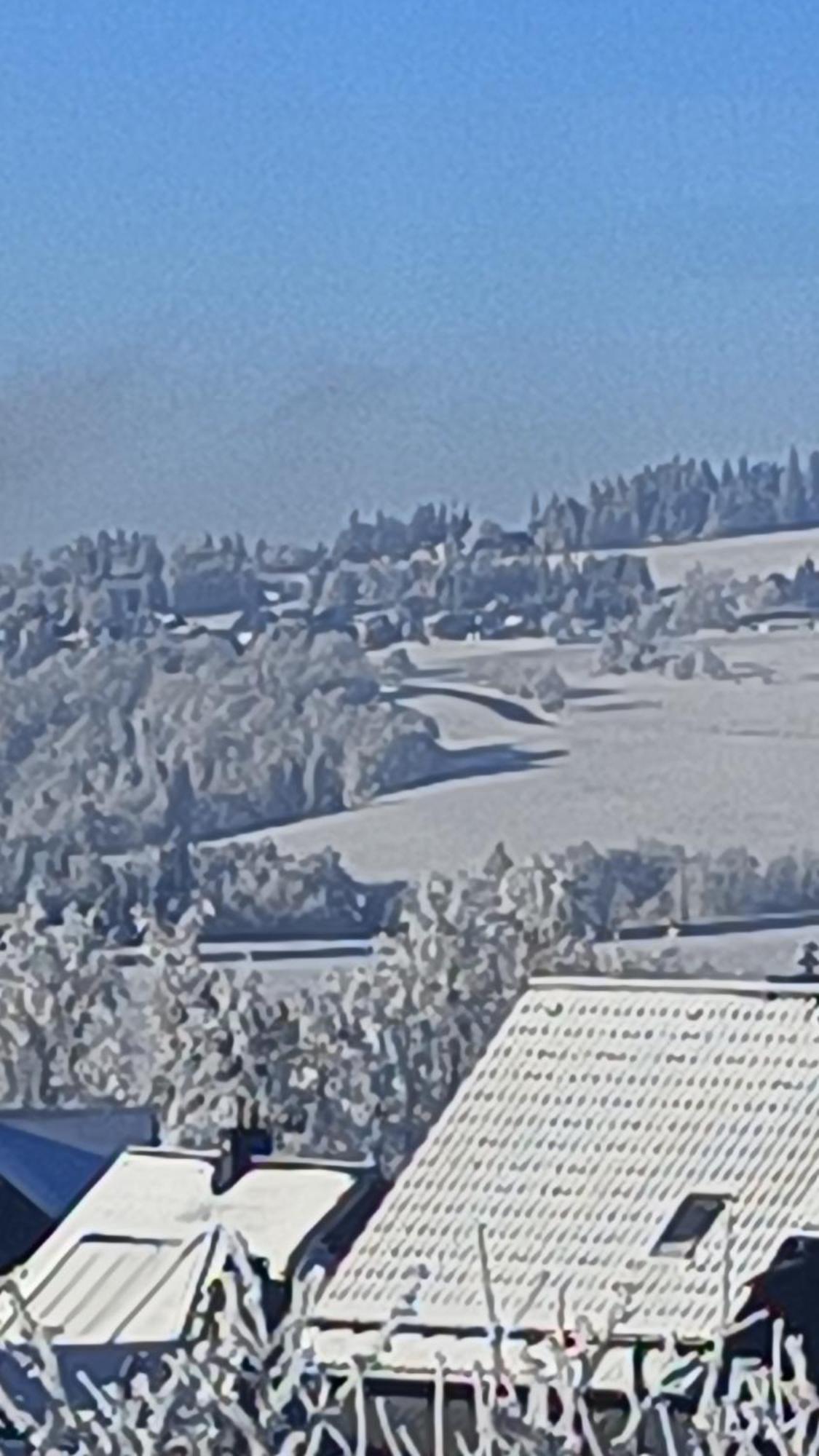 Pension Thueringer Wald Reichmannsdorf Bagian luar foto